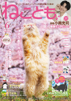 【小南光司】秋水社「ねことも」６月号巻頭インタビュー